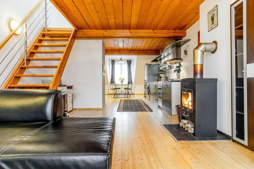 Utulny A Prostorny Podkrovni Byt S Krbovymi Kamny Ceske Budejovice Extérieur photo