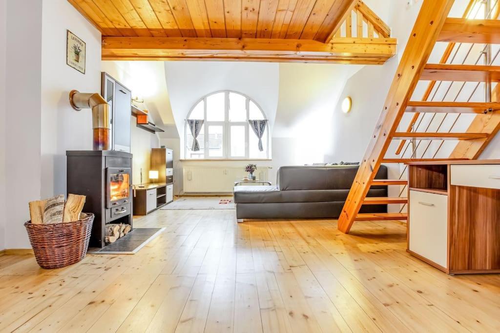 Utulny A Prostorny Podkrovni Byt S Krbovymi Kamny Ceske Budejovice Extérieur photo